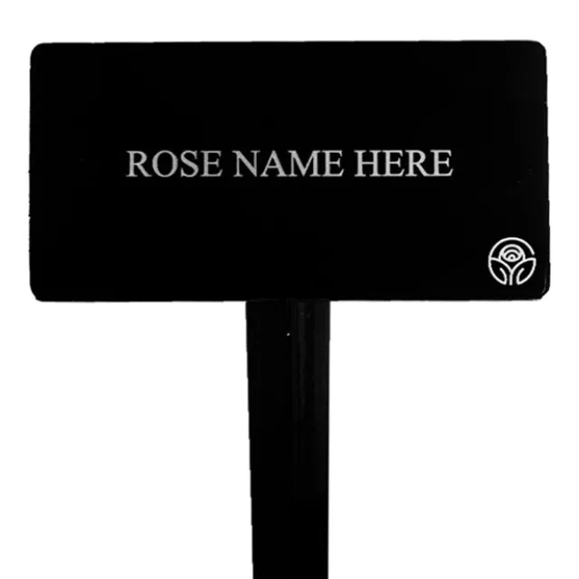 Lady Ashe Stake