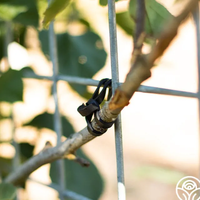 LoopLock Garden Ties