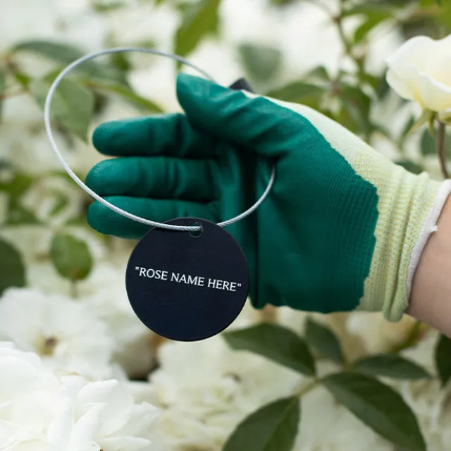 Love & Peace® Tag