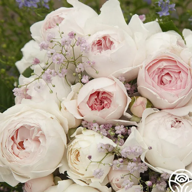 Parfuma® Earth Angel