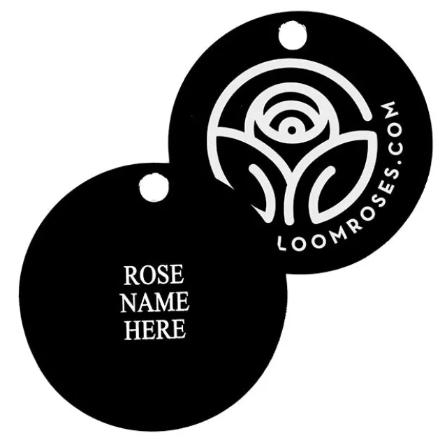 Rosy Hedge Tag