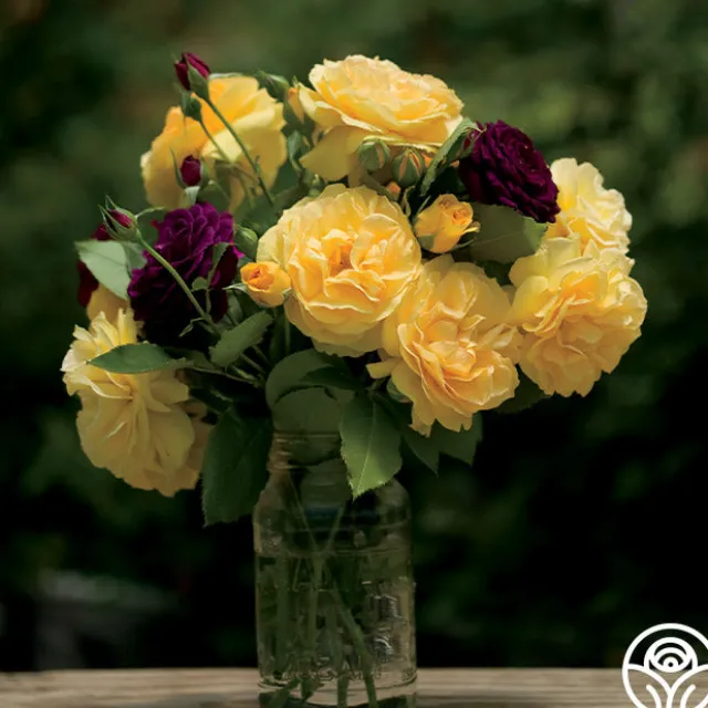 Spring Color Bouquet Collection