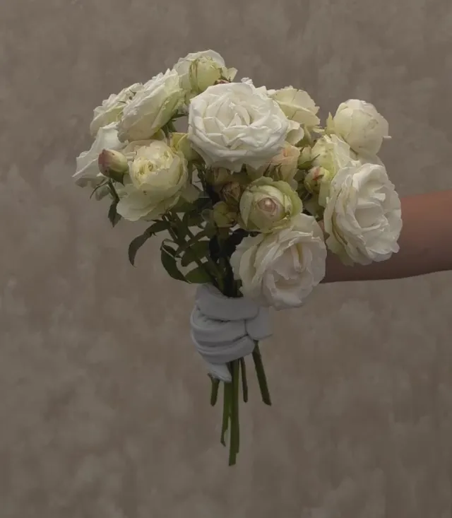 White Eden Climber®