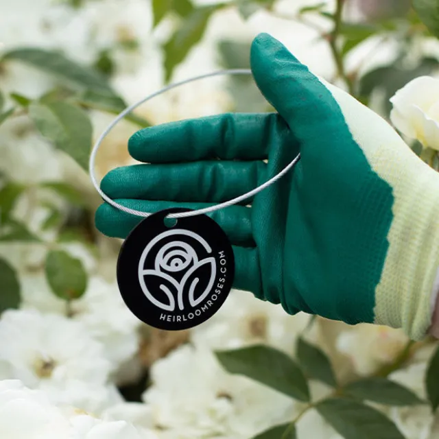 White Gold Tag